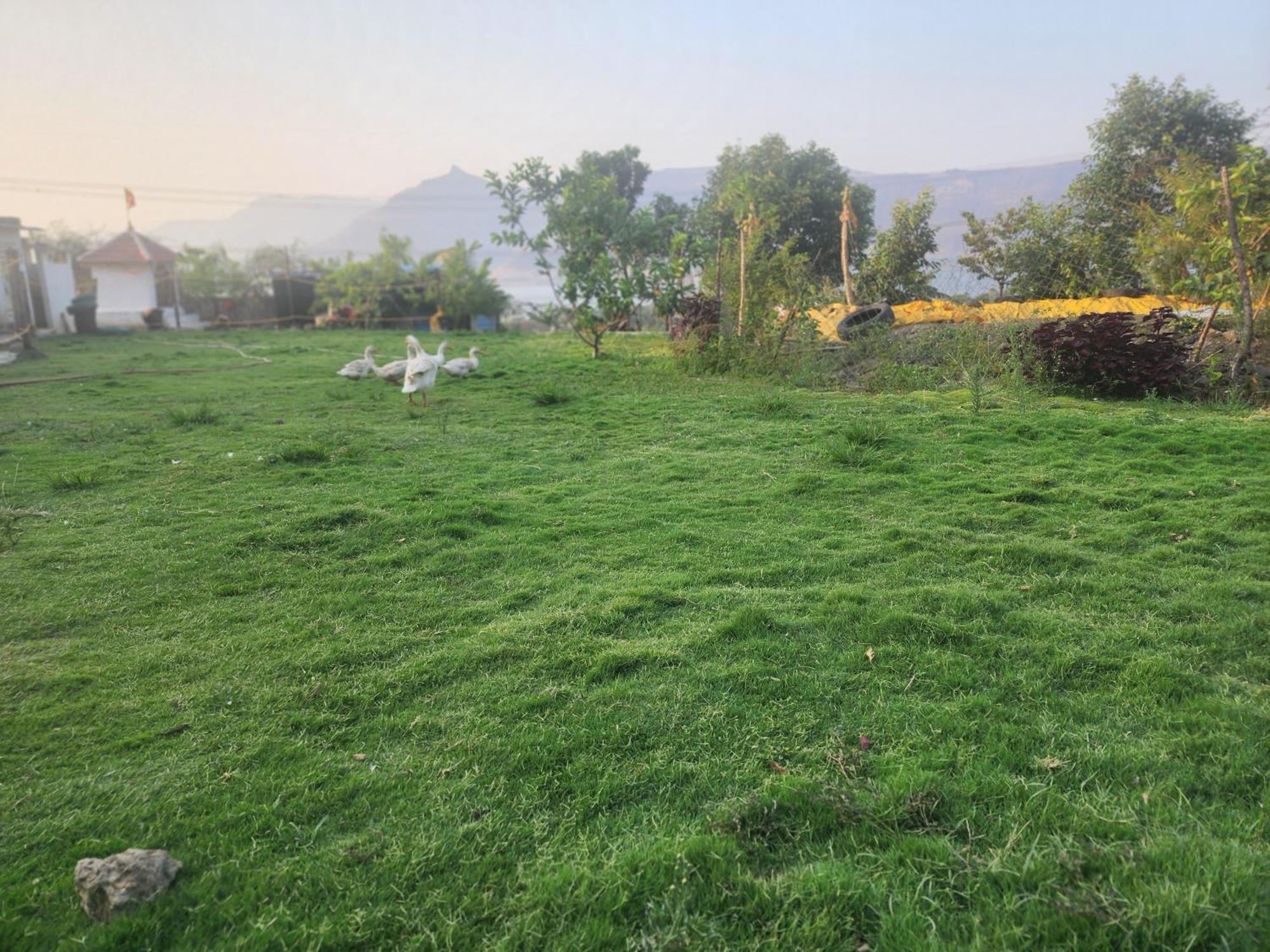 Jandyal Farm House Malshej Ghat Exterior foto